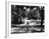 Burnham Beeches-J. Chettlburgh-Framed Photographic Print