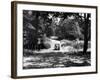 Burnham Beeches-J. Chettlburgh-Framed Photographic Print