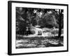 Burnham Beeches-J. Chettlburgh-Framed Photographic Print