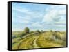 Burnham Norton Marshes, 2004-Tom Young-Framed Stretched Canvas