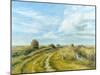 Burnham Norton Marshes, 2004-Tom Young-Mounted Giclee Print