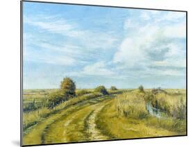 Burnham Norton Marshes, 2004-Tom Young-Mounted Giclee Print