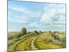 Burnham Norton Marshes, 2004-Tom Young-Mounted Giclee Print