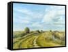 Burnham Norton Marshes, 2004-Tom Young-Framed Stretched Canvas