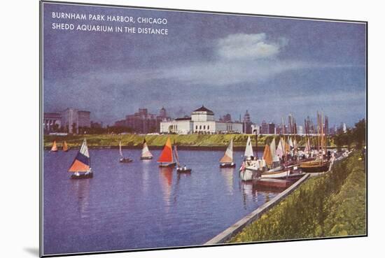 Burnham Park Harbor, Chicago, Illinois-null-Mounted Art Print