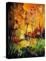 Burning 562111-Pol Ledent-Stretched Canvas