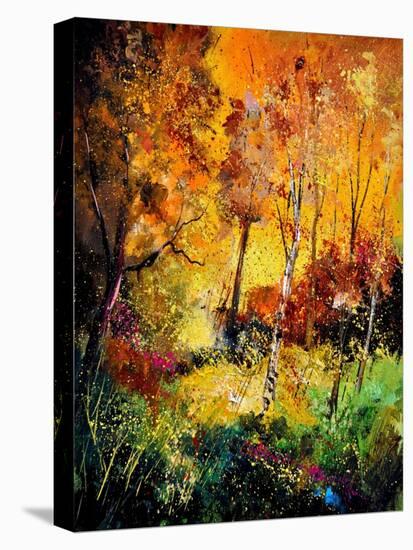 Burning 562111-Pol Ledent-Stretched Canvas