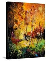 Burning 562111-Pol Ledent-Stretched Canvas