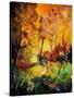 Burning 562111-Pol Ledent-Stretched Canvas