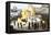 Burning Bishops at the Stake during the Spanish Inquisition-null-Framed Stretched Canvas