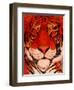 Burning Bright-John Newcomb-Framed Giclee Print