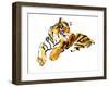 Burning Bright-Mark Adlington-Framed Giclee Print