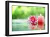 Burning Candle and Water Lily in Water.-Liang Zhang-Framed Photographic Print