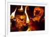 Burning Candles in the Indian Temple during Diwali, The Festival of Lights-Andrey Armyagov-Framed Photographic Print