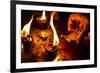 Burning Candles in the Indian Temple during Diwali, The Festival of Lights-Andrey Armyagov-Framed Photographic Print