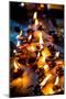 Burning Candles in the Indian Temple during Diwali, The Festival of Lights-Andrey Armyagov-Mounted Photographic Print