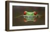 Burning Eyes-Kutub Uddin-Framed Giclee Print