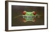 Burning Eyes-Kutub Uddin-Framed Giclee Print