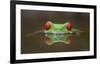 Burning Eyes-Kutub Uddin-Framed Giclee Print