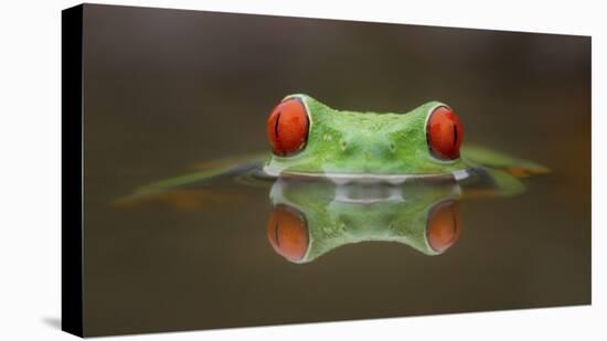 Burning Eyes-Kutub Uddin-Stretched Canvas