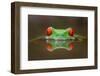 Burning Eyes-Kutub Uddin-Framed Photographic Print