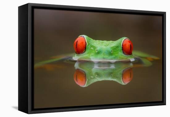 Burning Eyes-Kutub Uddin-Framed Stretched Canvas