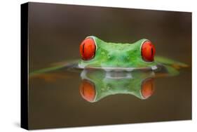 Burning Eyes-Kutub Uddin-Stretched Canvas