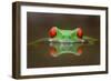 Burning Eyes-Kutub Uddin-Framed Photographic Print