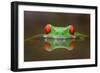 Burning Eyes-Kutub Uddin-Framed Photographic Print