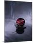 Burning incense on top of bowl of petals-John Smith-Mounted Photographic Print