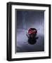 Burning incense on top of bowl of petals-John Smith-Framed Photographic Print