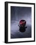 Burning incense on top of bowl of petals-John Smith-Framed Photographic Print