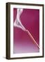 Burning Incense-Cristina-Framed Photographic Print