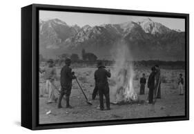 Burning Leaves, Autumn Dawn-Ansel Adams-Framed Stretched Canvas