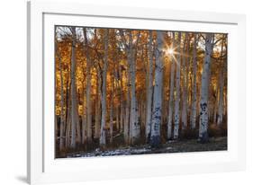 Burning October-Michael Greene-Framed Giclee Print