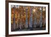 Burning October-Michael Greene-Framed Giclee Print