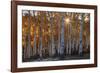 Burning October-Michael Greene-Framed Giclee Print