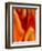 Burning Passion-Ruth Palmer-Framed Art Print