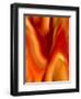 Burning Passion-Ruth Palmer-Framed Art Print