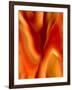 Burning Passion-Ruth Palmer-Framed Art Print