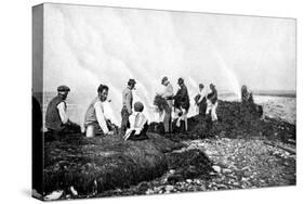 Burning Seaweed for Kelp, Aran Islands, Ireland, 1922-AW Cutler-Stretched Canvas