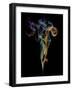 Burning Spoon Ii-Aida Ianeva-Framed Giclee Print