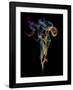 Burning Spoon Ii-Aida Ianeva-Framed Giclee Print