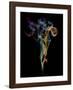 Burning Spoon Ii-Aida Ianeva-Framed Giclee Print