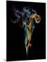 Burning Spoon Ii-Aida Ianeva-Mounted Giclee Print