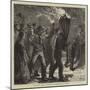 Burning the Clavie at Burghead, Elgin-William Bazett Murray-Mounted Giclee Print