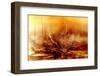 Burning water-Willy Marthinussen-Framed Photographic Print