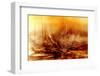 Burning water-Willy Marthinussen-Framed Photographic Print