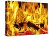 Burning Wood-Paul Biddle-Stretched Canvas