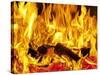 Burning Wood-Paul Biddle-Stretched Canvas